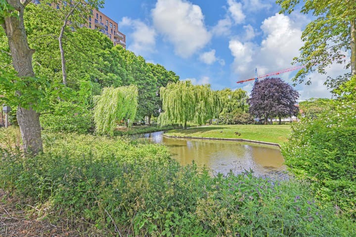 Foto 24 van Treubstraat 12-F004