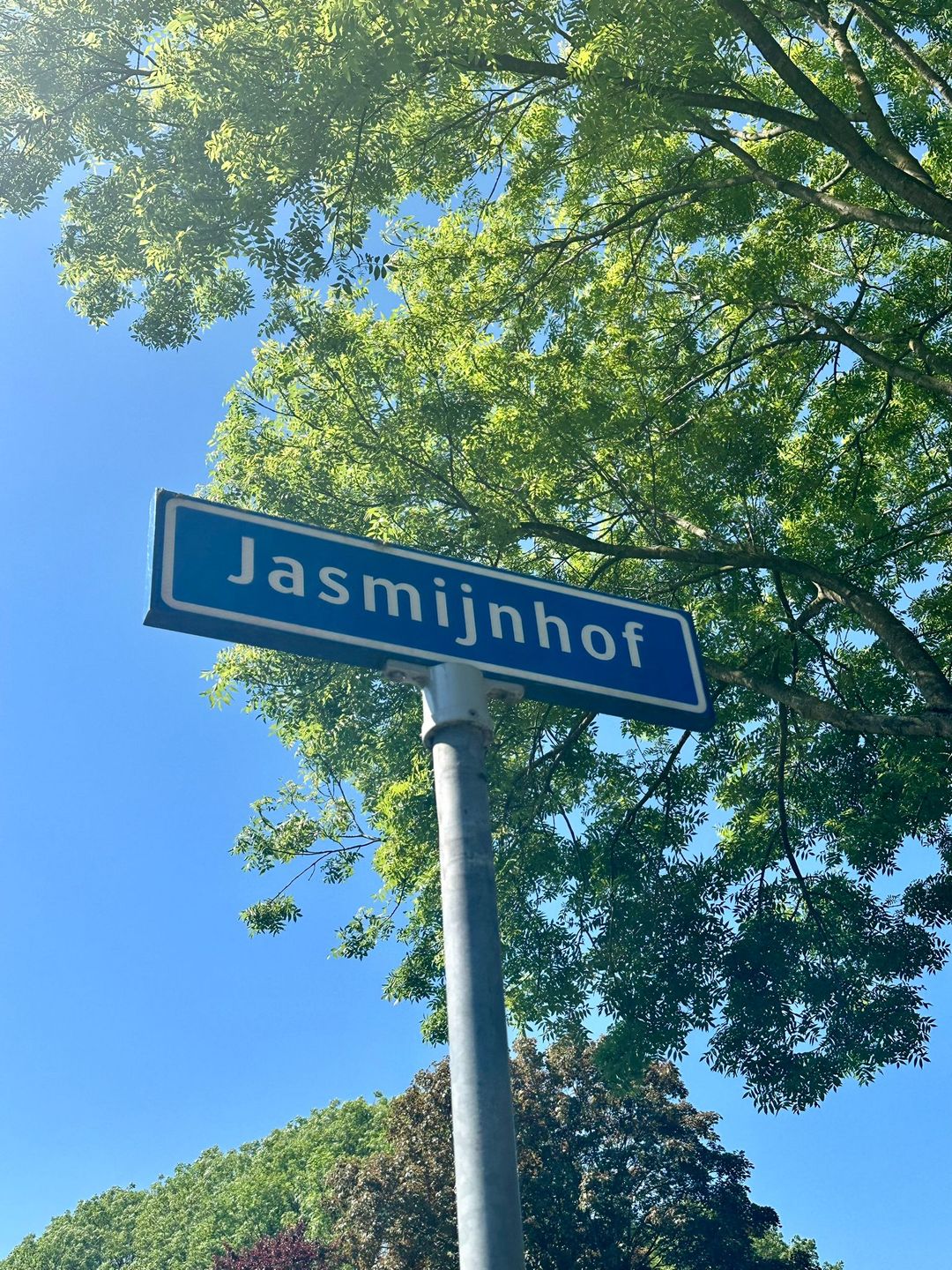 Foto 2 van Jasmijnhof 3