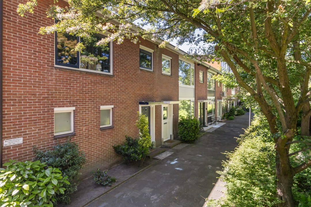 Foto 1 van Boerhaavestraat 137