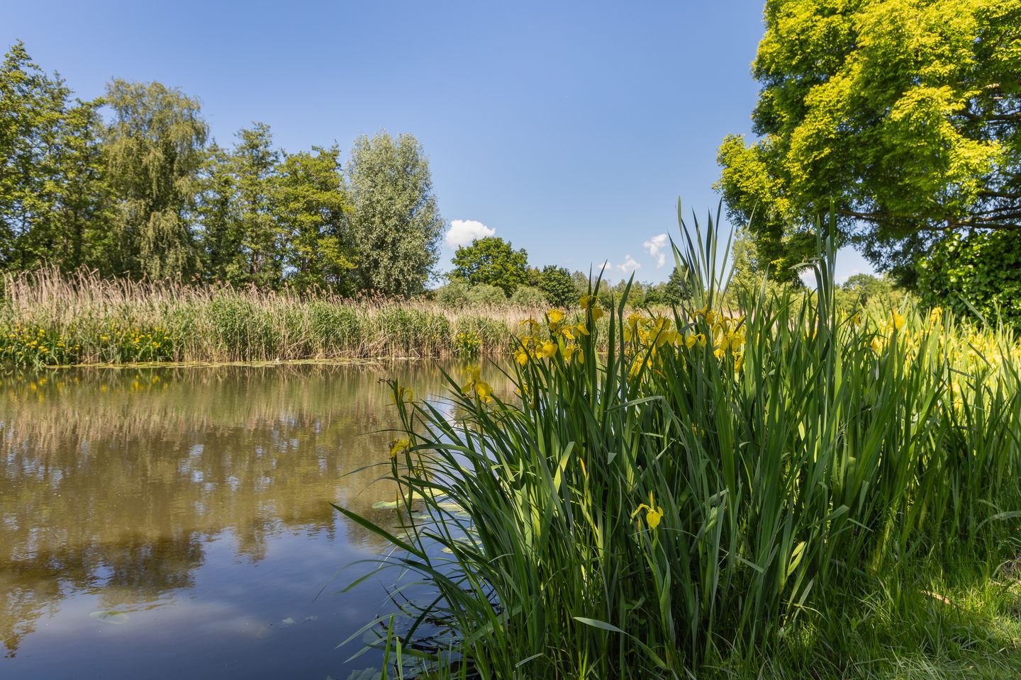 Foto 44 van Boerhaavestraat 137