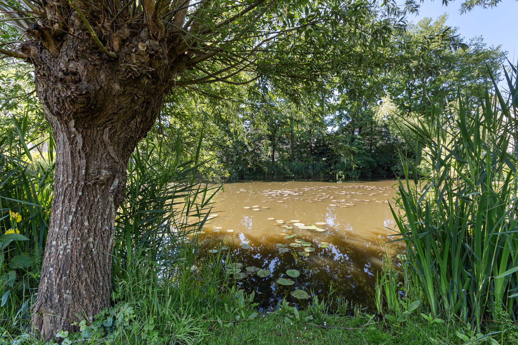 Foto 45 van Boerhaavestraat 137