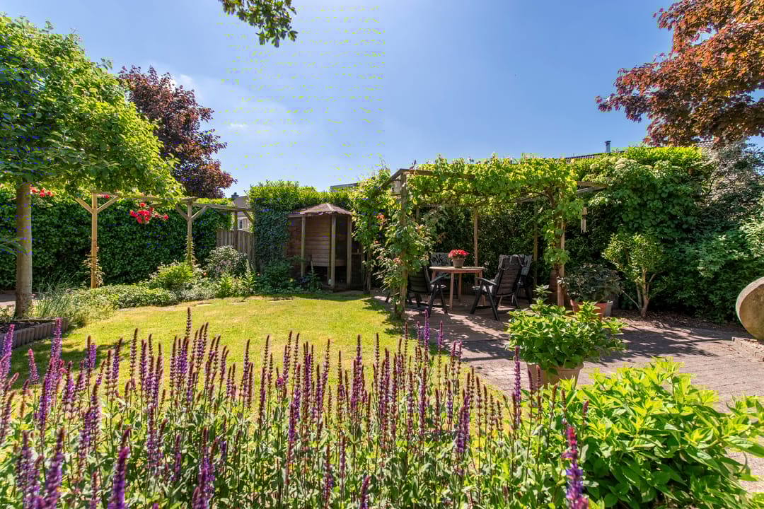 Foto 38 van Doddegras 26