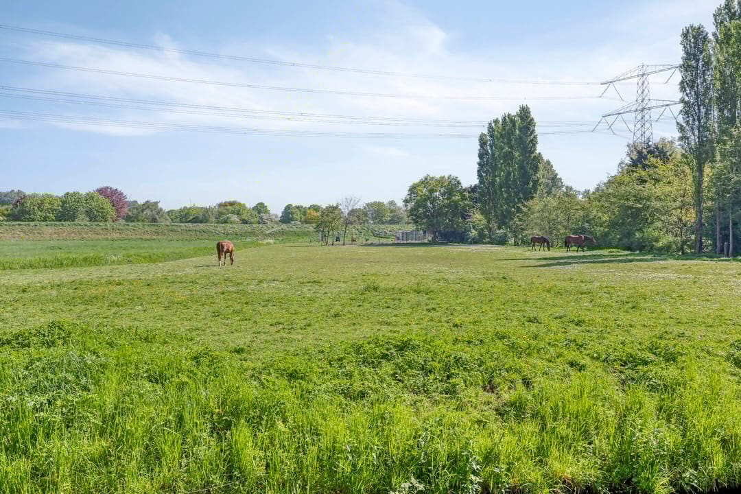 Foto 28 van Duinoordseweg 8