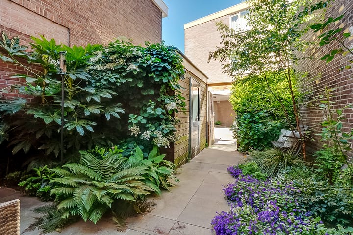 Foto 27 van Jeremiestraat 10