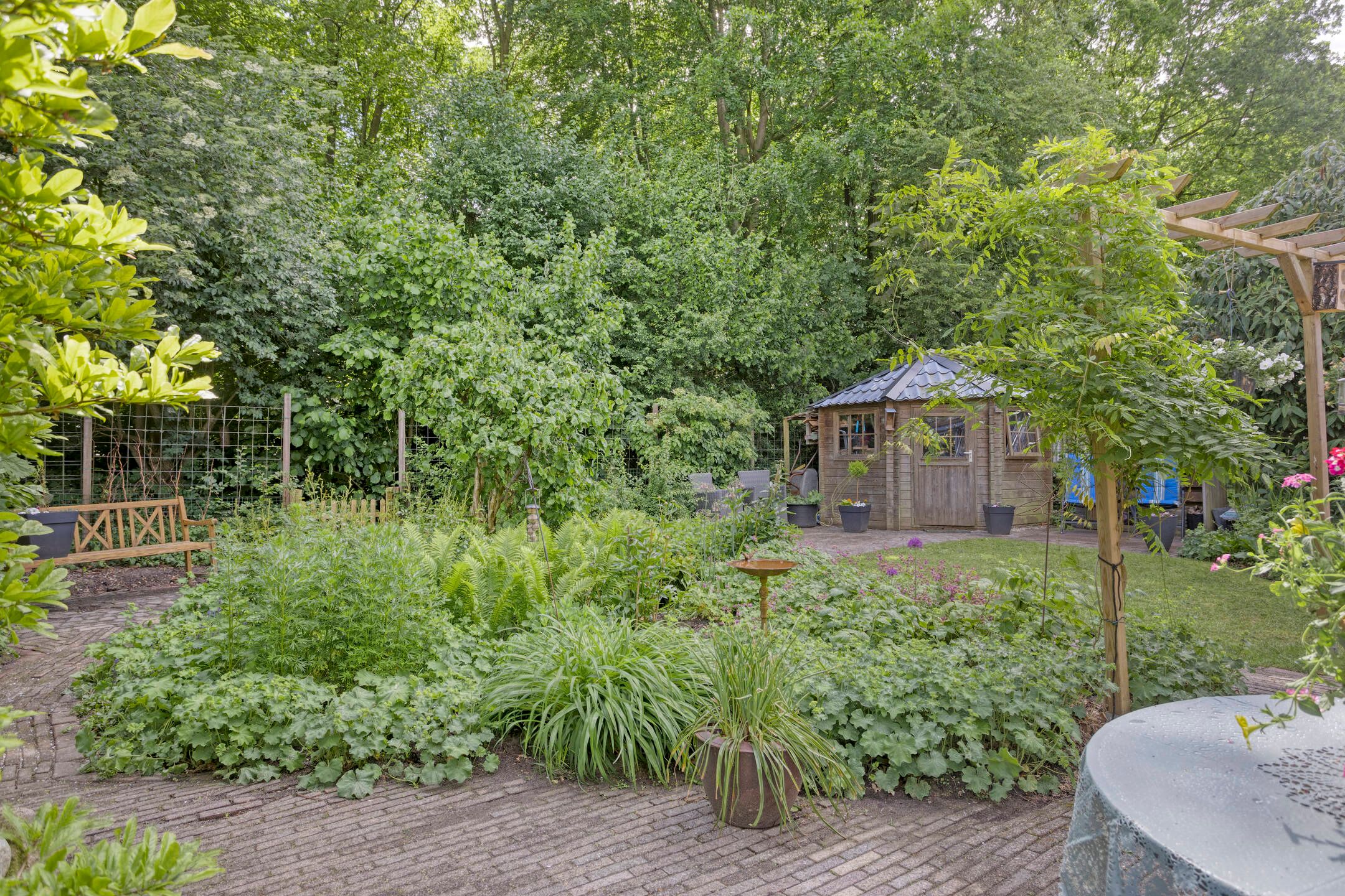 Foto 39 van De Reiger 59