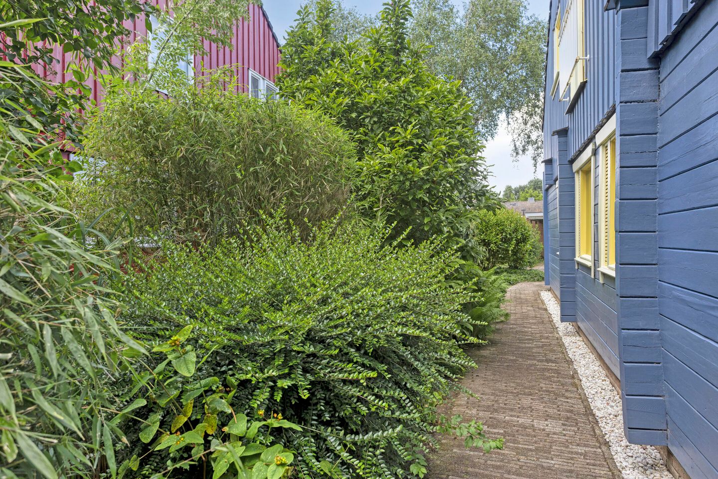 Foto 40 van De Reiger 59