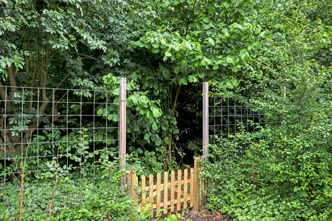 Foto 41 van De Reiger 59