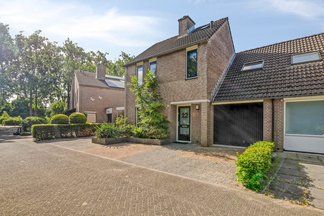 Foto 7 van Kolibrievlinder 22