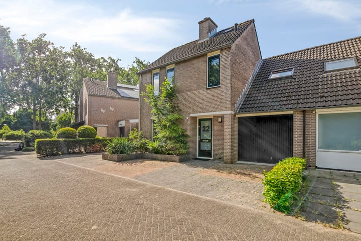 Foto 7 van Kolibrievlinder 22