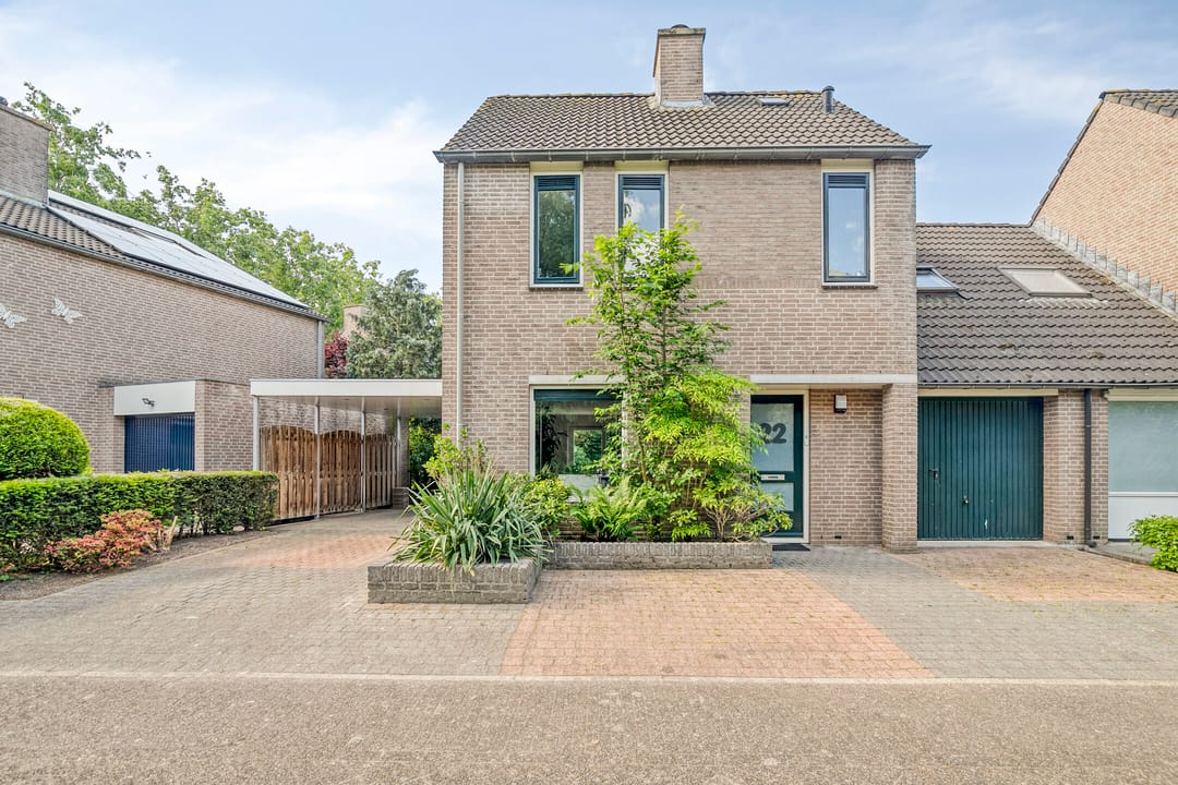 Foto 8 van Kolibrievlinder 22