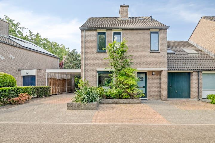 Foto 8 van Kolibrievlinder 22