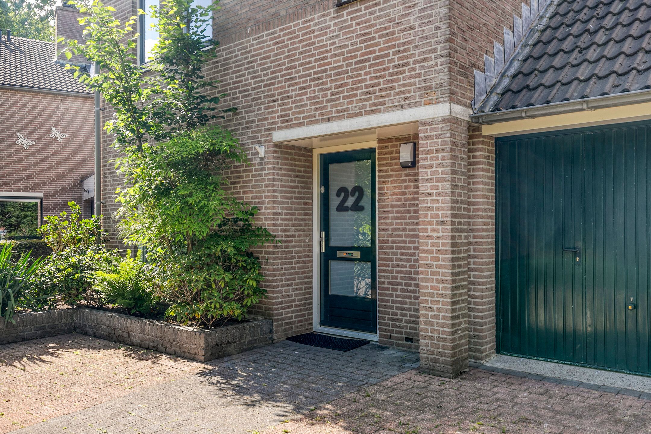 Foto 9 van Kolibrievlinder 22