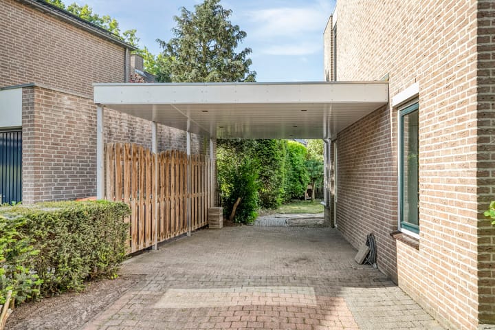 Foto 10 van Kolibrievlinder 22