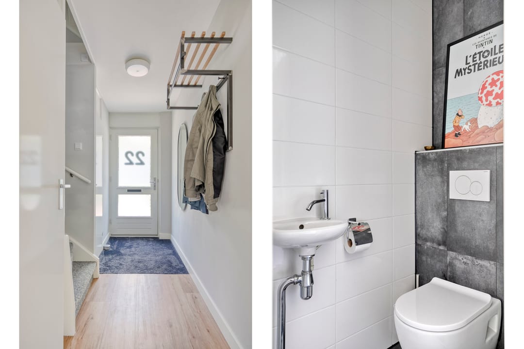 Foto 11 van Kolibrievlinder 22