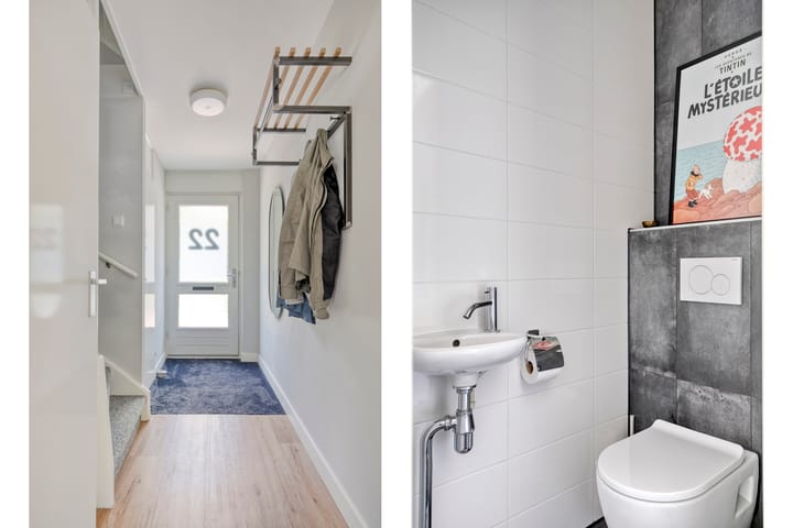 Foto 11 van Kolibrievlinder 22