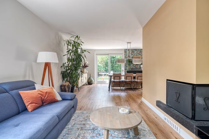 Foto 15 van Kolibrievlinder 22