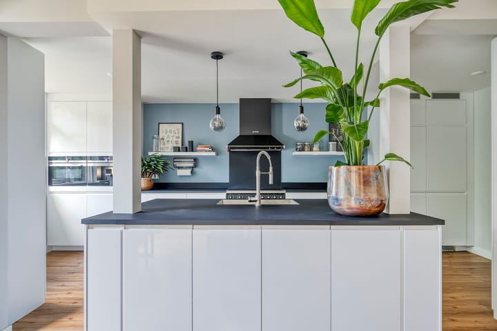 Foto 19 van Kolibrievlinder 22