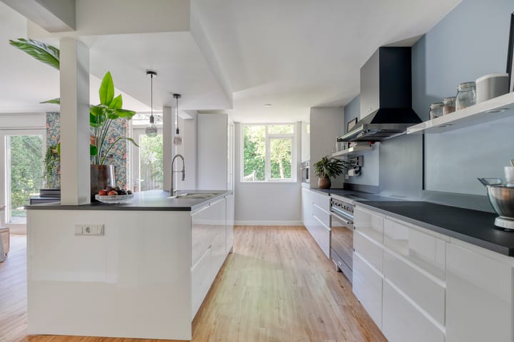 Foto 23 van Kolibrievlinder 22