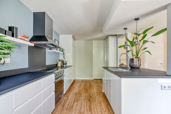 Foto 25 van Kolibrievlinder 22