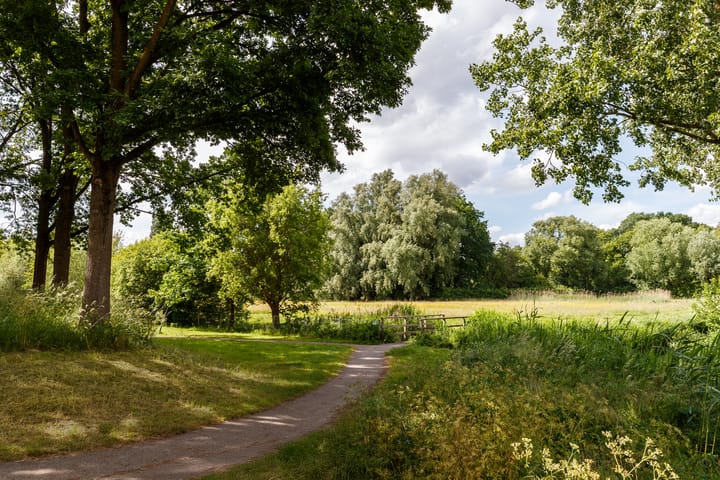 Foto 19 van Terschelling 19