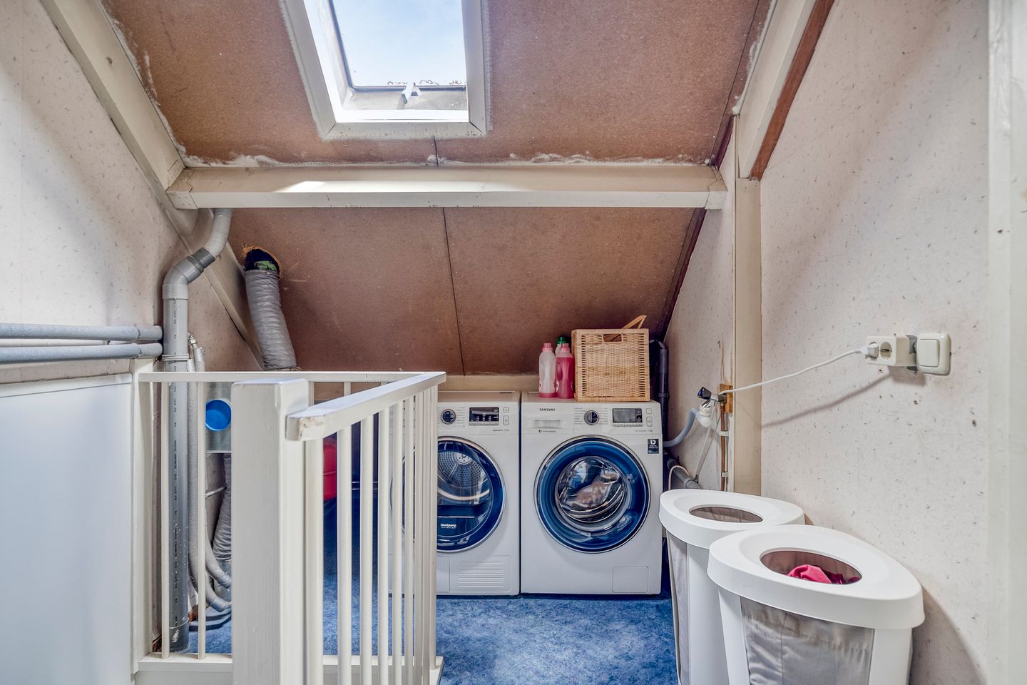 Foto 35 van Kolibrievlinder 22