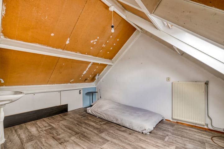 Foto 36 van Kolibrievlinder 22