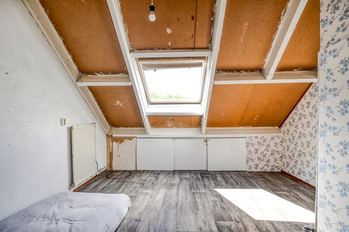 Foto 37 van Kolibrievlinder 22