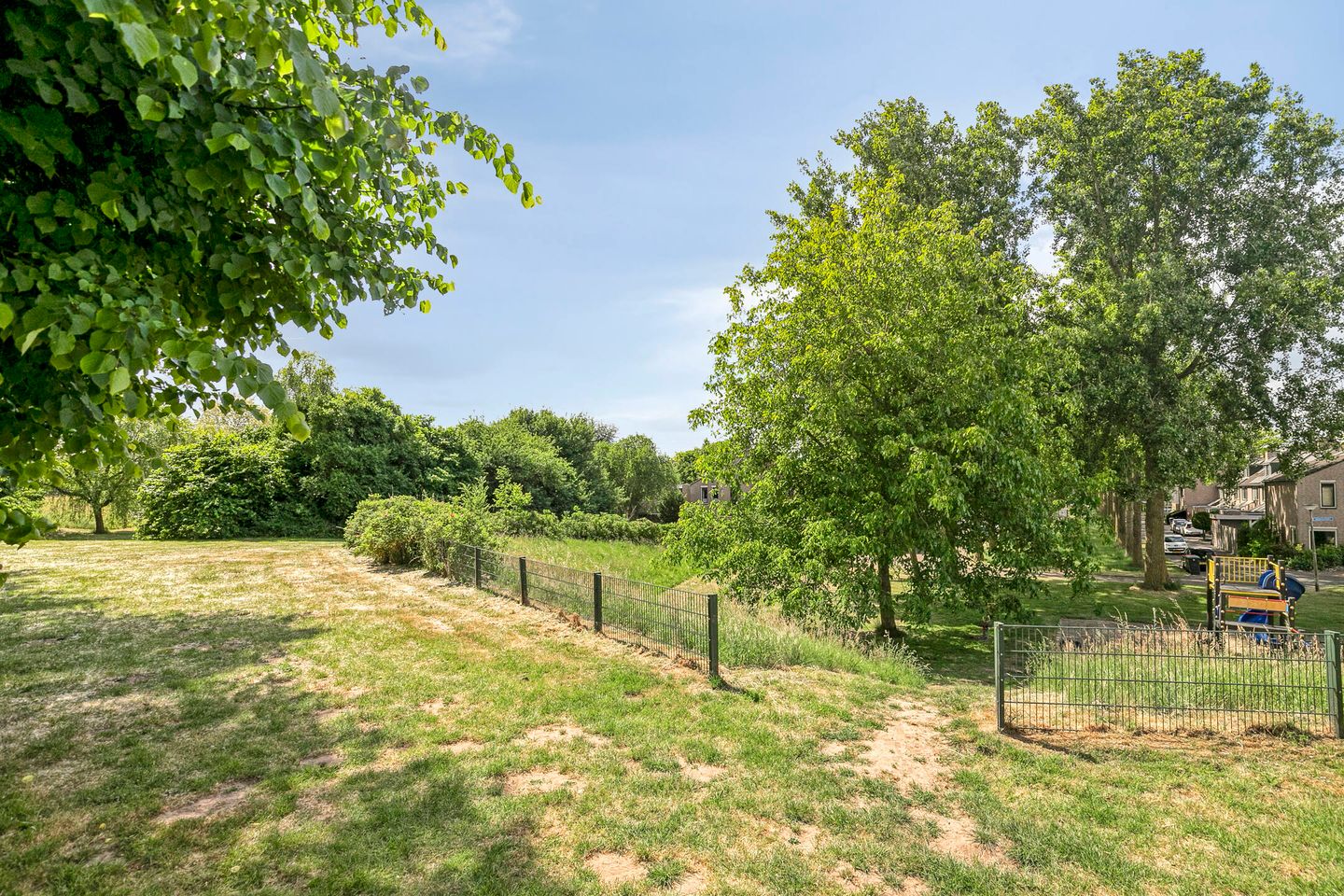 Foto 40 van Kolibrievlinder 22