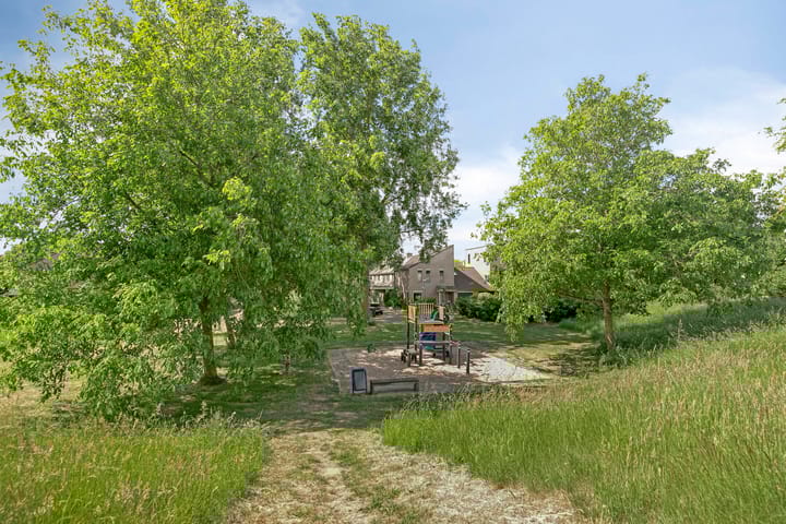 Foto 41 van Kolibrievlinder 22