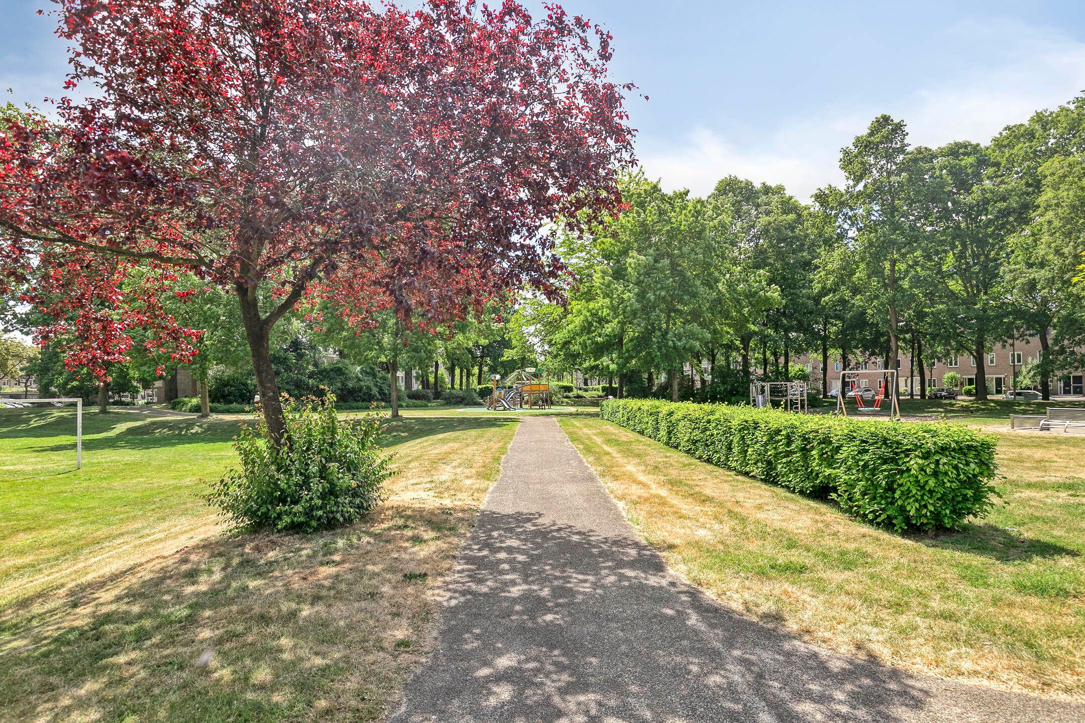 Foto 42 van Kolibrievlinder 22