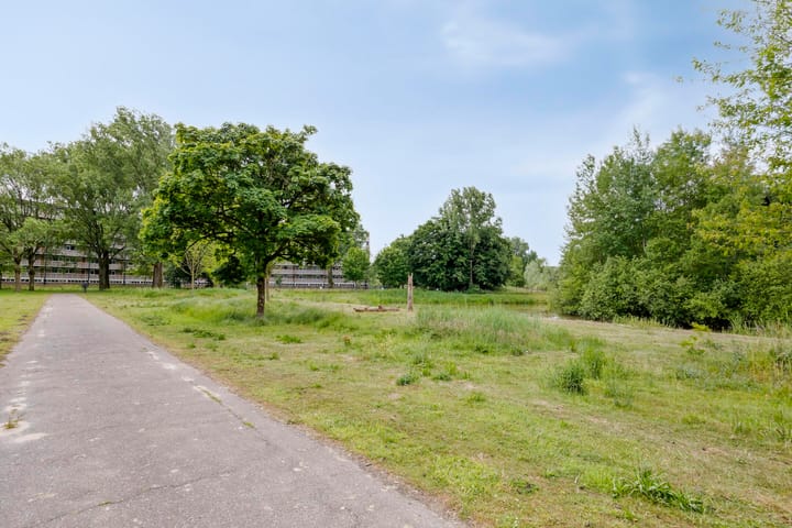 Foto 37 van Kruiskampsingel 161