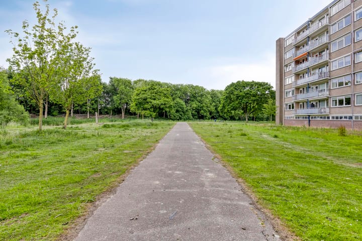 Foto 40 van Kruiskampsingel 161