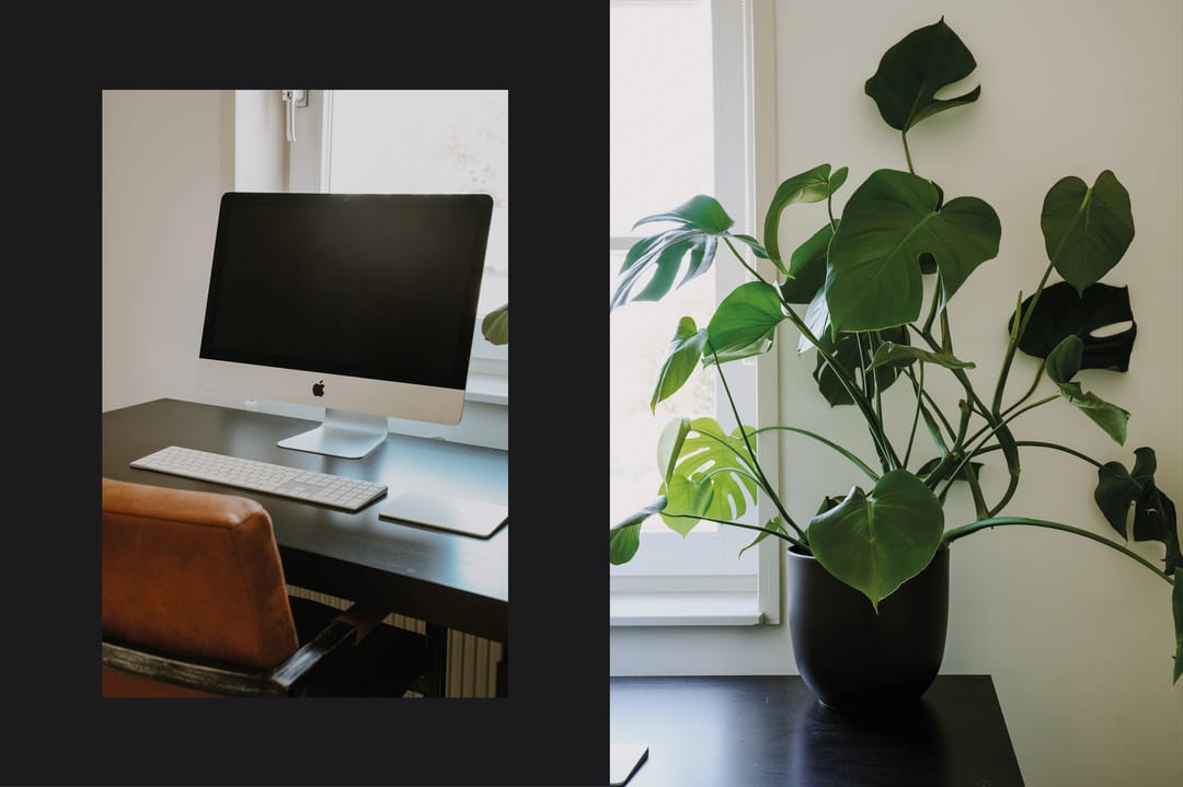 Foto 22 van Buitenhof 1