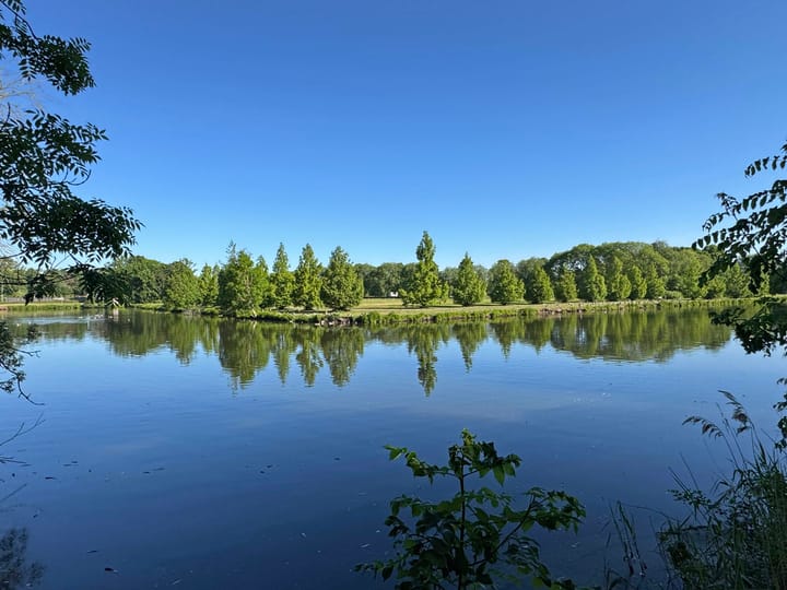 Foto 5 van Biezenbrugstraat 4