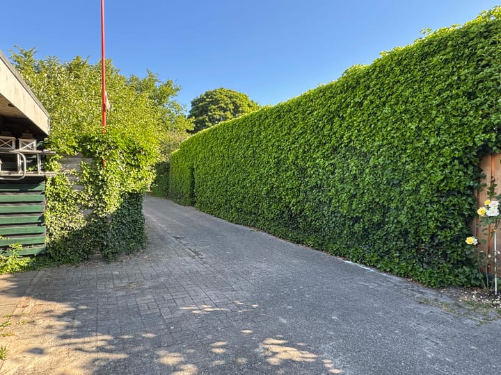 Foto 12 van Biezenbrugstraat 4