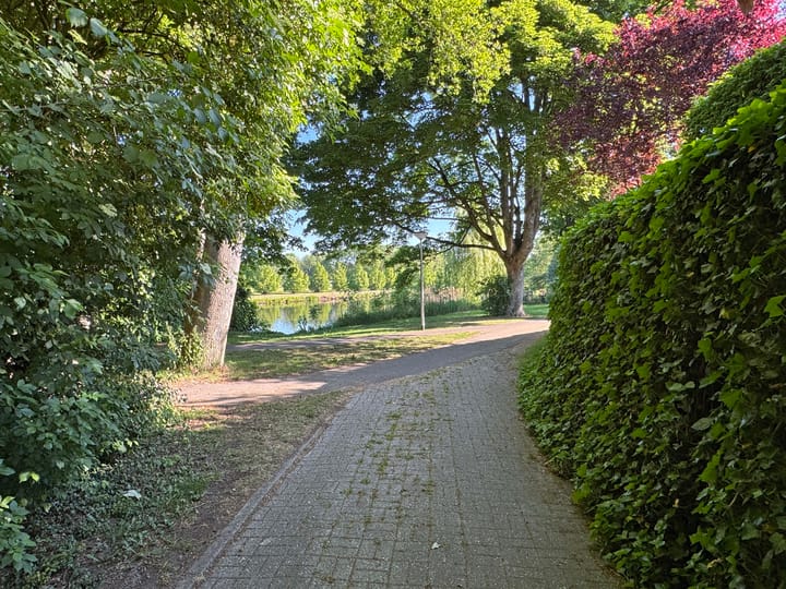 Foto 13 van Biezenbrugstraat 4