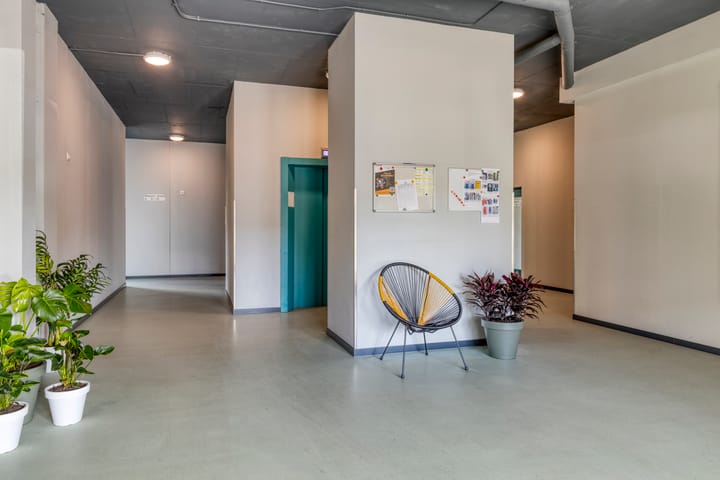 Foto 8 van Zandsteen 91