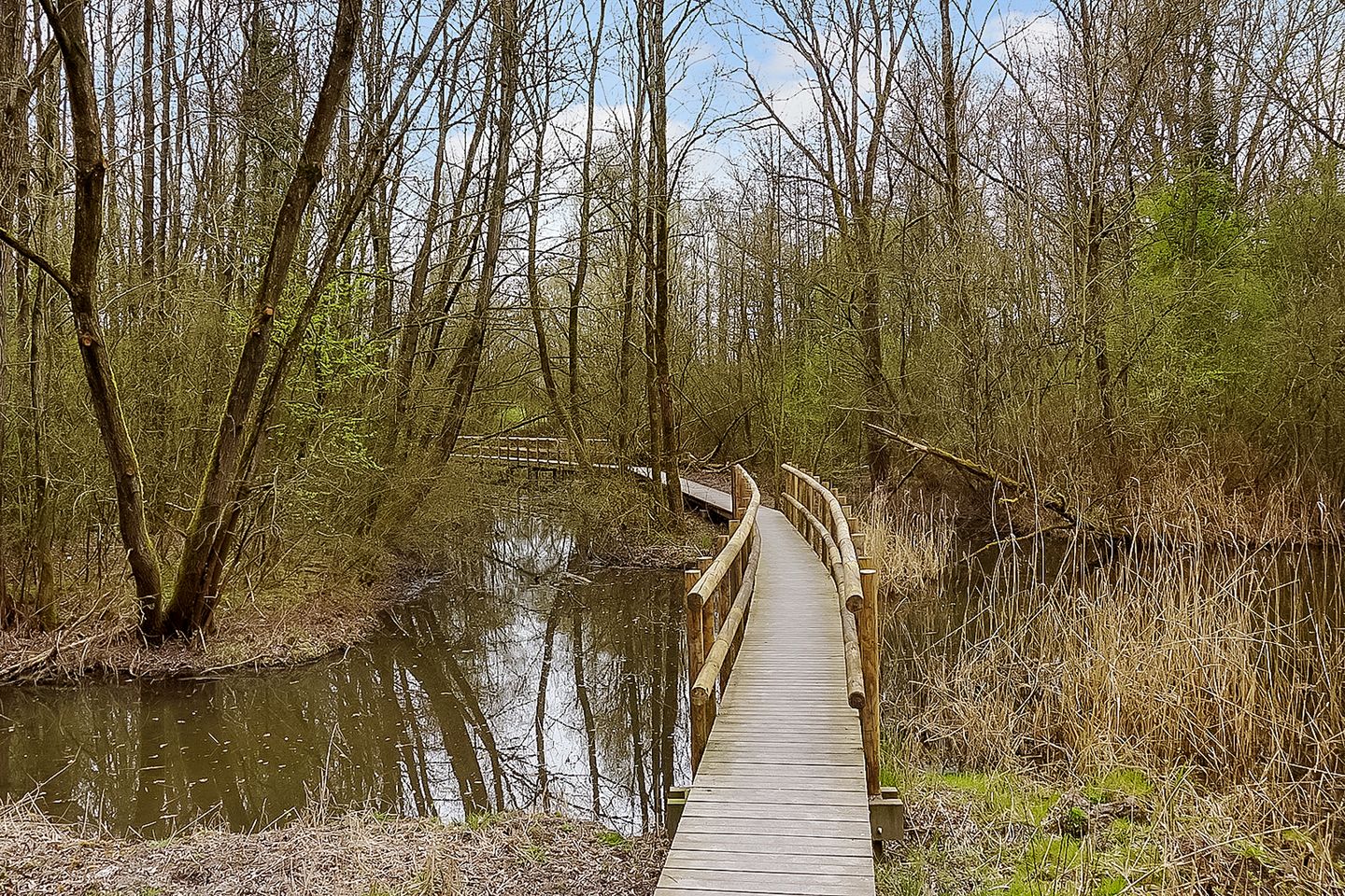 Foto 40 van Carel Fabritiushage 3