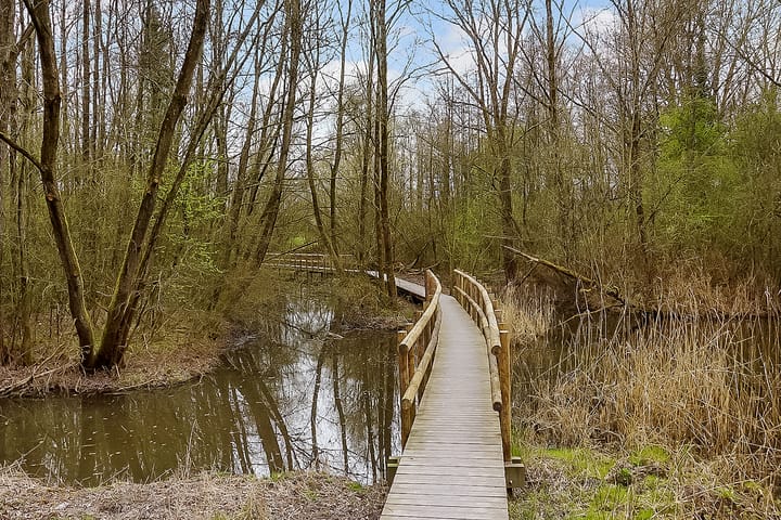 Foto 40 van Carel Fabritiushage 3