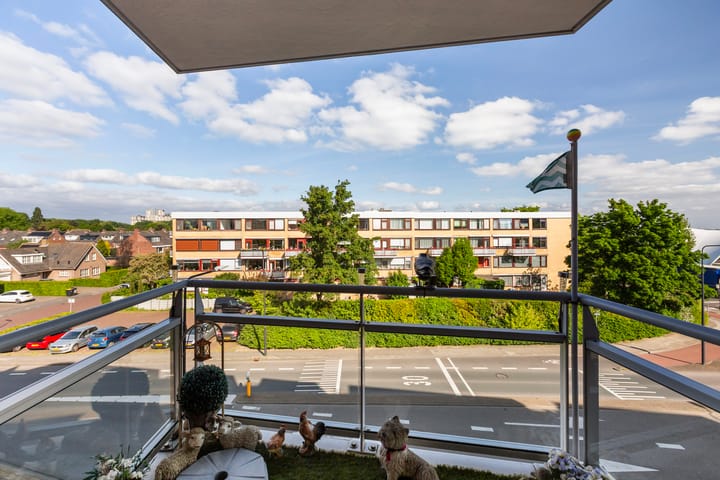 Foto 4 van Drijver 117