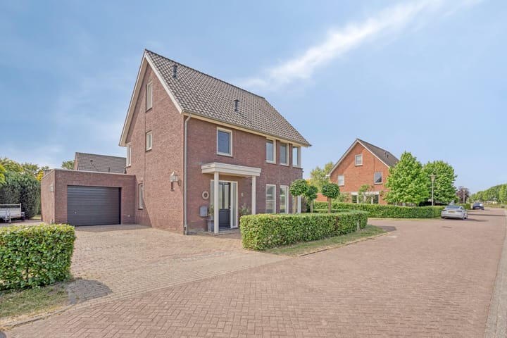 undefined main image
