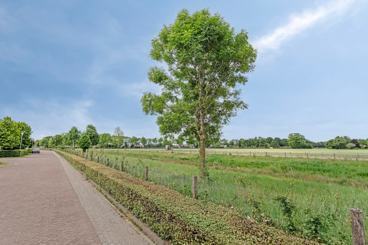 Photo 49 of Lavendelheide 10