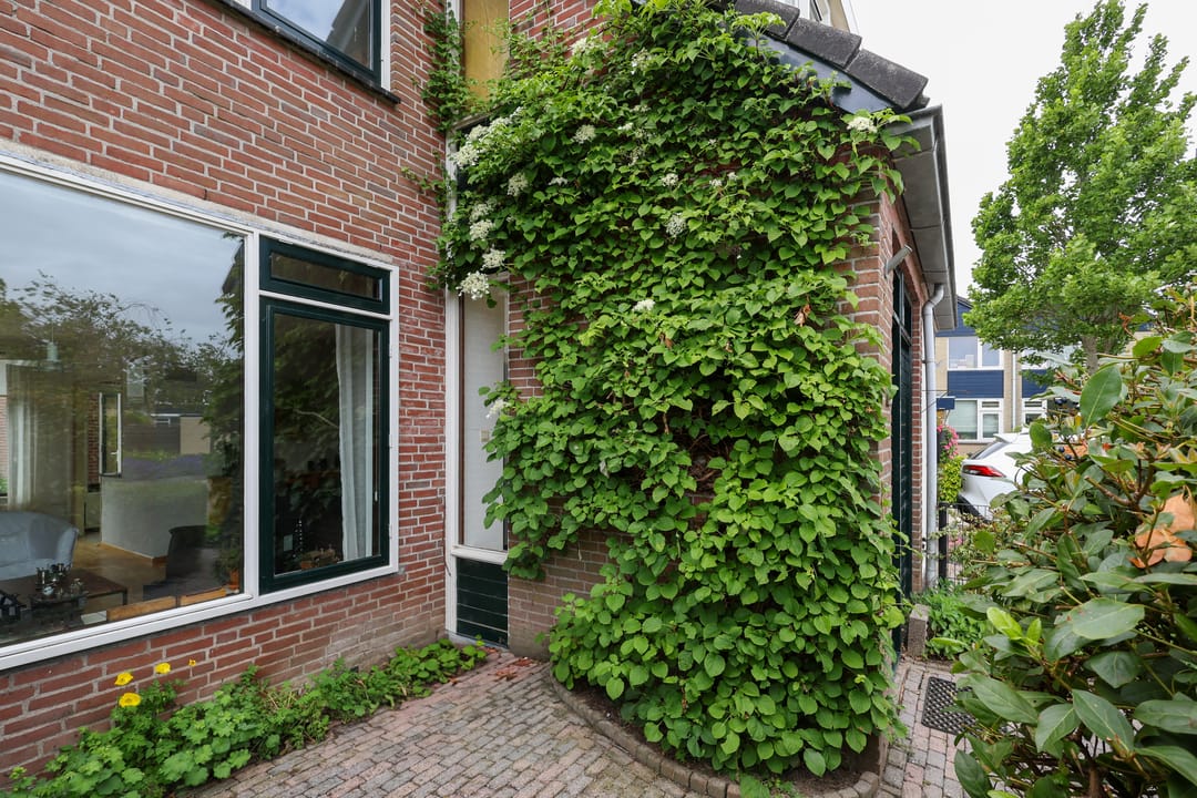 Photo 8 of Merelhof 15