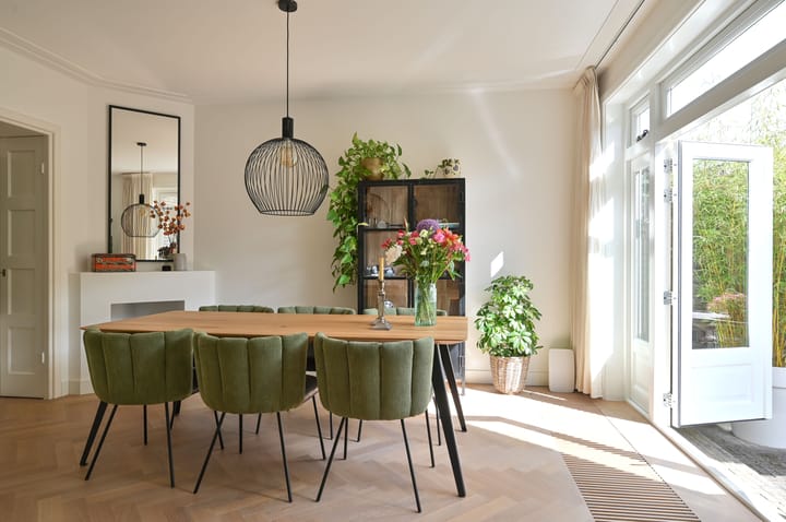 Photo 9 of Roemer Visscherlaan 10