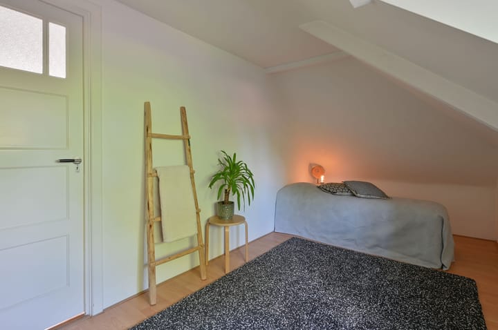 Photo 25 of Roemer Visscherlaan 10