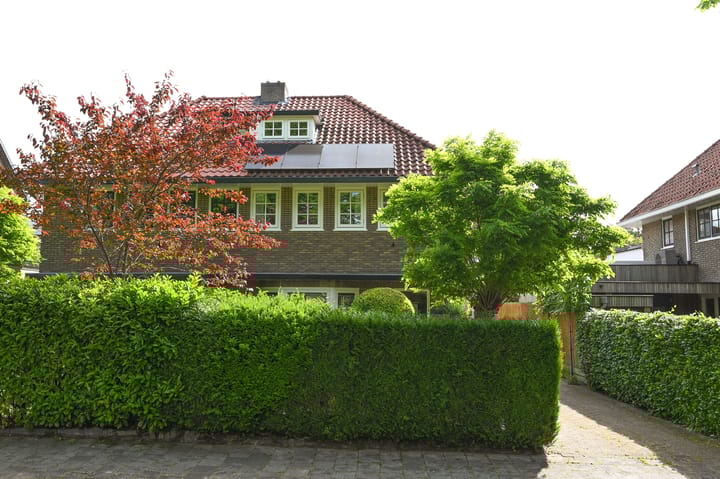 Photo 29 of Roemer Visscherlaan 10