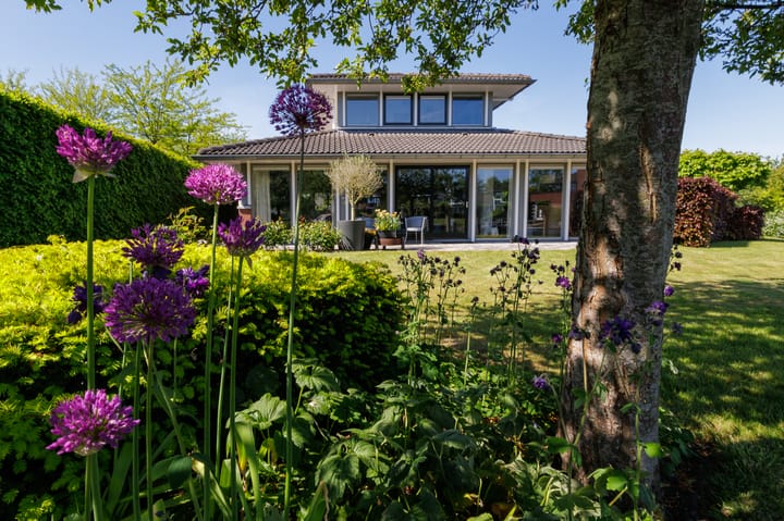 Photo 42 of Vechtlaan 12