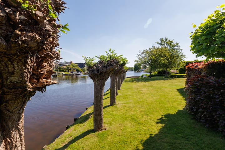 Photo 48 of Vechtlaan 12