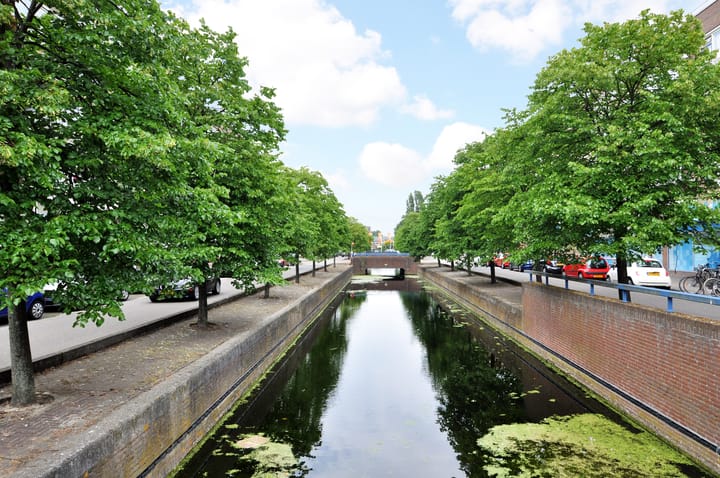 Photo 48 of Kruidentuinen 25