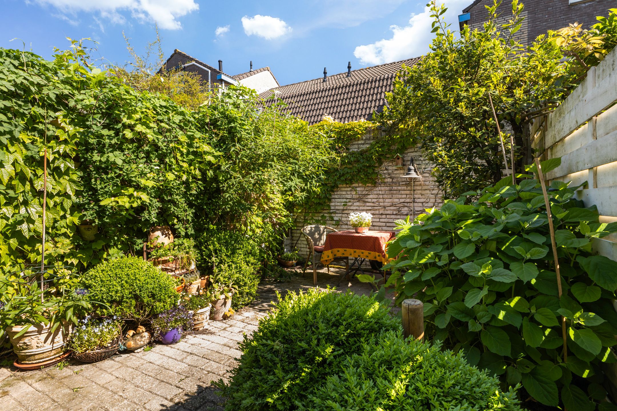 Photo 3 of Bolstraat 44